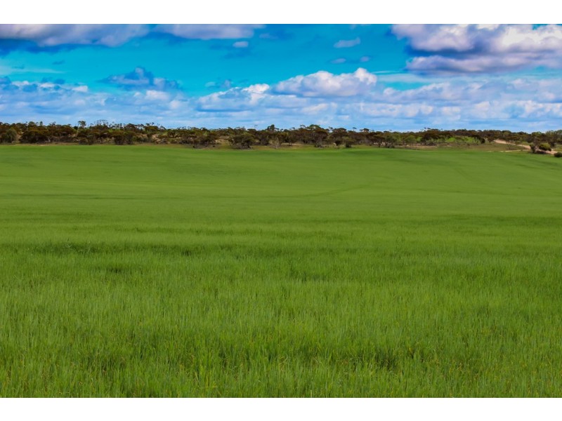 Section 425 Kiandra Road, Lipson SA 5607