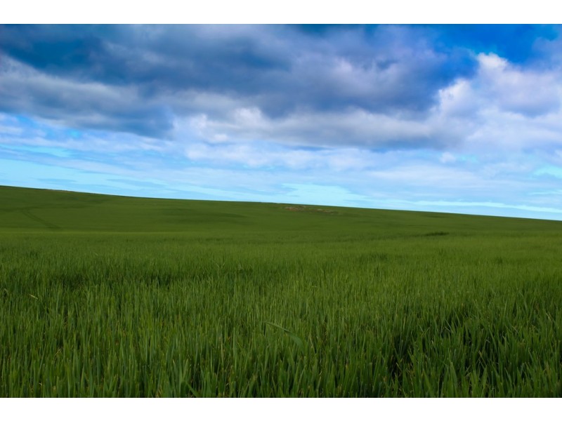 Section 425 Kiandra Road, Lipson SA 5607