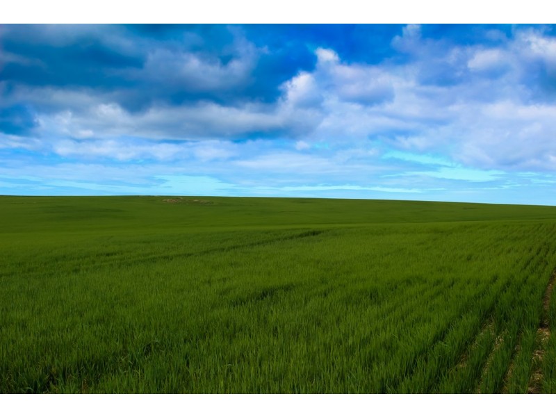 Section 425 Kiandra Road, Lipson SA 5607