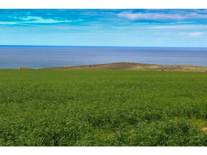 Section 425 Kiandra Road, Lipson SA 5607