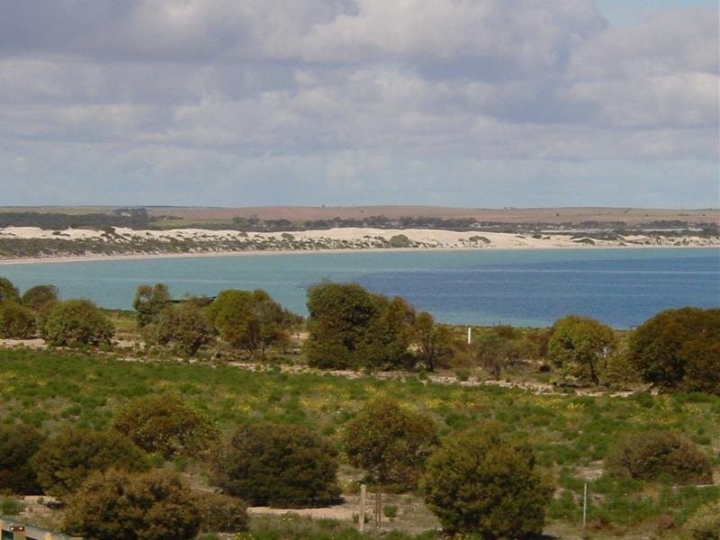 Lot 118 Ferret Place, Perlubie SA 5680