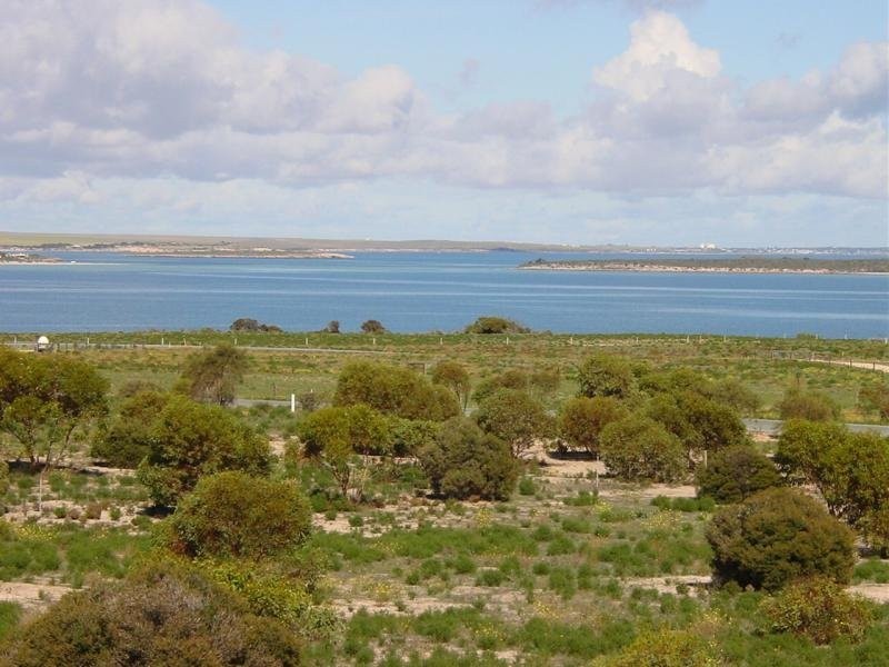 Lot 118 Ferret Place, Perlubie SA 5680