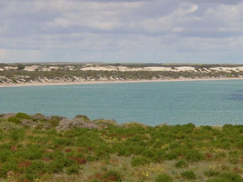 Lot 137 Meeinderry Drive, Perlubie SA 5680