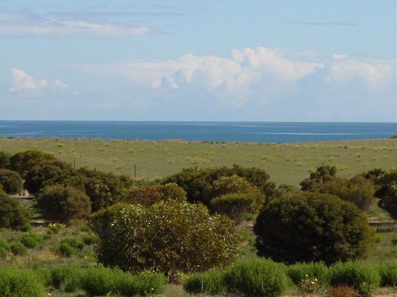Lot 137 Meeinderry Drive, Perlubie SA 5680