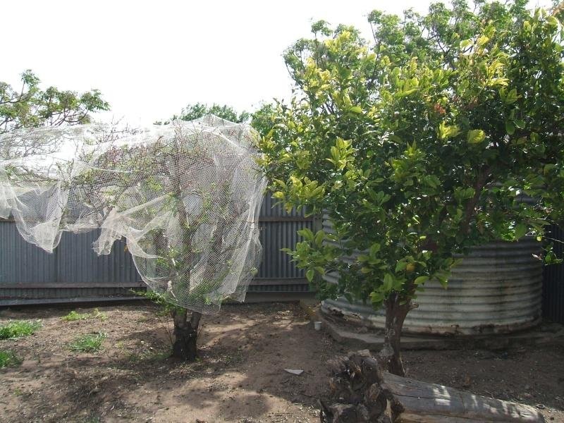 44 Centenary Rd, Streaky Bay SA 5680