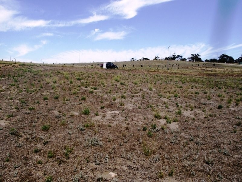 40 Oscar Williams Drive, Streaky Bay SA 5680