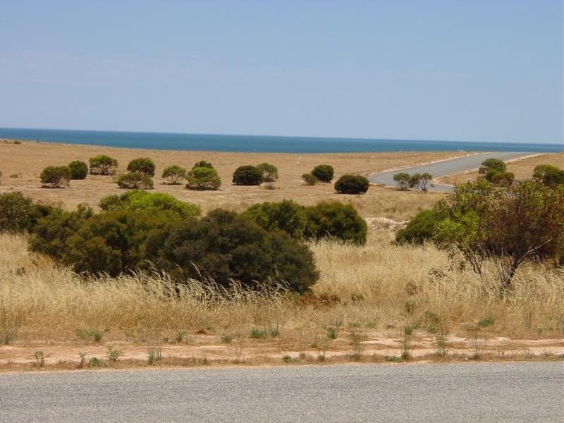 141 Meeinderry Drive, Perlubie SA 5680