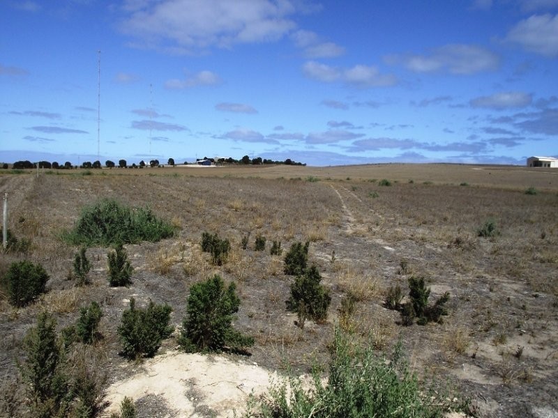 12 Cape Bauer Drive, Streaky Bay SA 5680