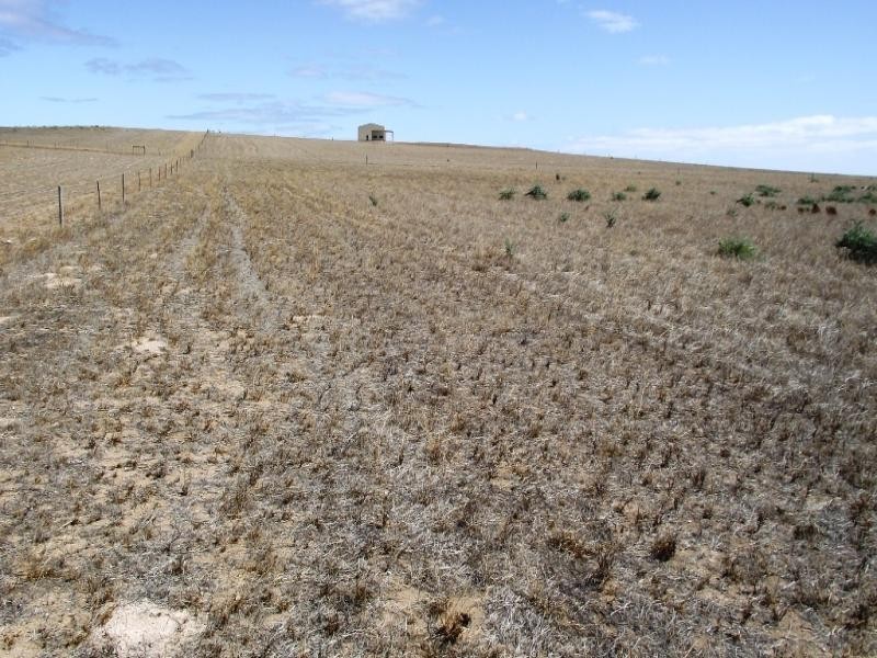 12 Cape Bauer Drive, Streaky Bay SA 5680