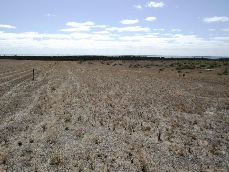 12 Cape Bauer Drive, Streaky Bay SA 5680