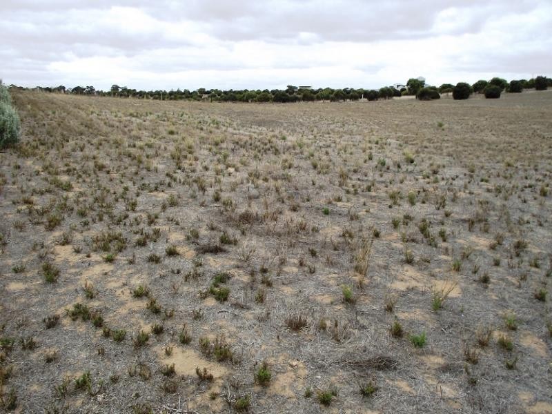 Allot 27 Falie Drive, Perlubie SA 5680