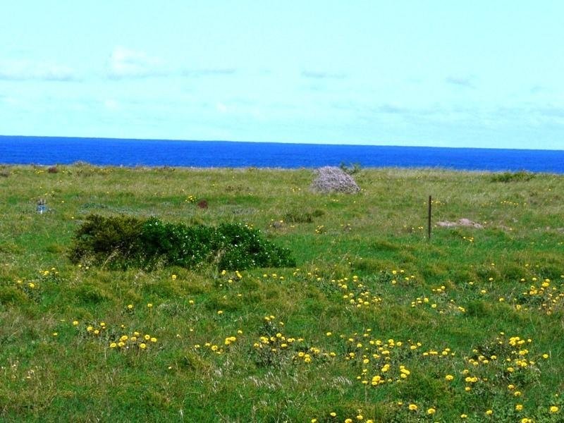 57 Whytwater Drive, Westall SA 5680