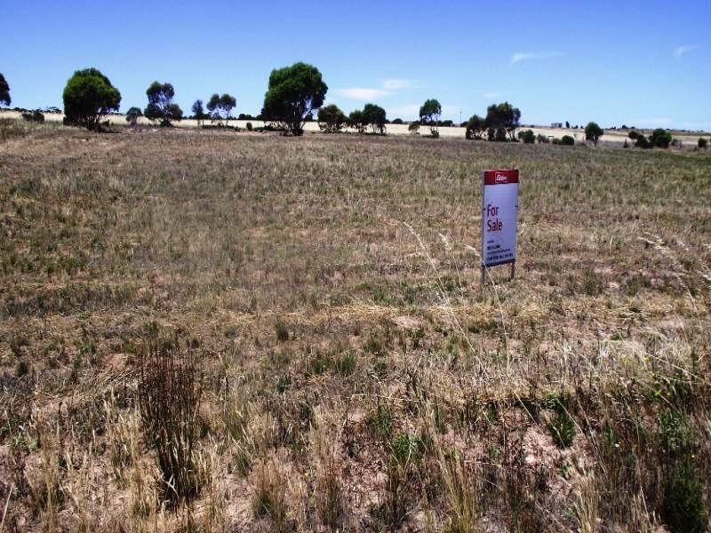 109 Meeinderry Road, Perlubie, Streaky Bay SA 5680