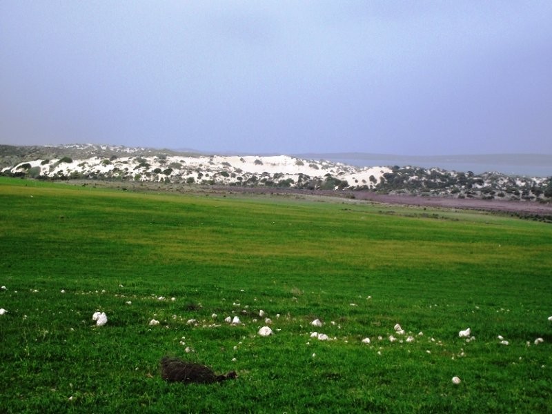 Allot 101 Sceale Bay Rd, Streaky Bay SA 5680