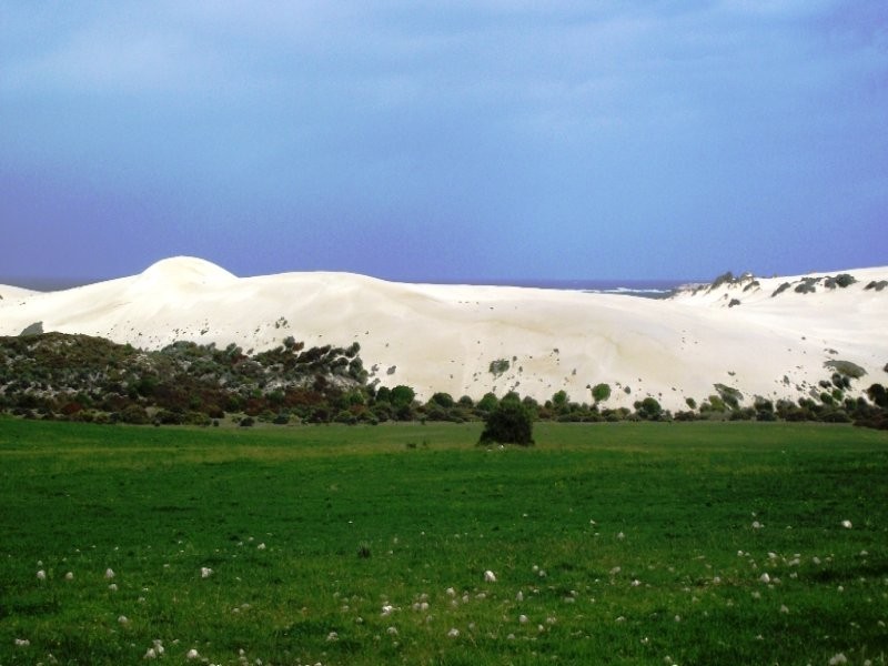 Allot 101 Sceale Bay Rd, Streaky Bay SA 5680