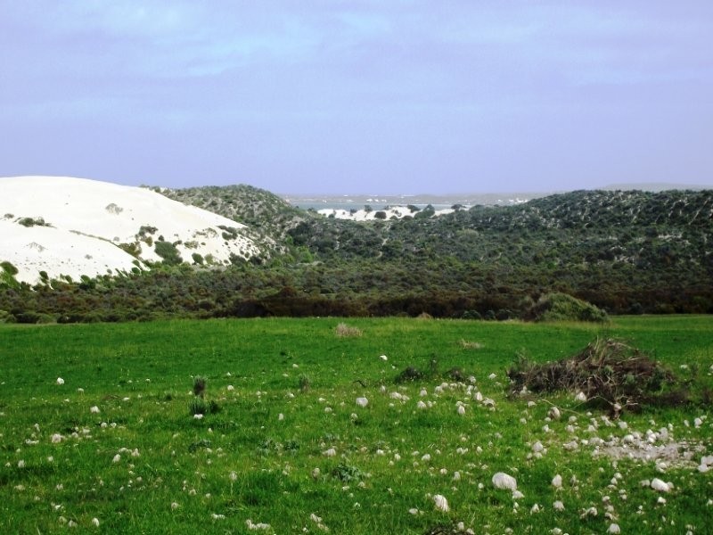 Allot 101 Sceale Bay Rd, Streaky Bay SA 5680