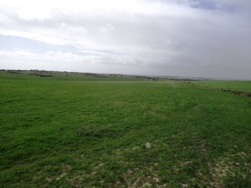 Allot 101 Sceale Bay Rd, Streaky Bay SA 5680