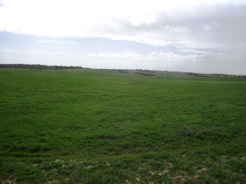 Allot 101 Sceale Bay Rd, Streaky Bay SA 5680