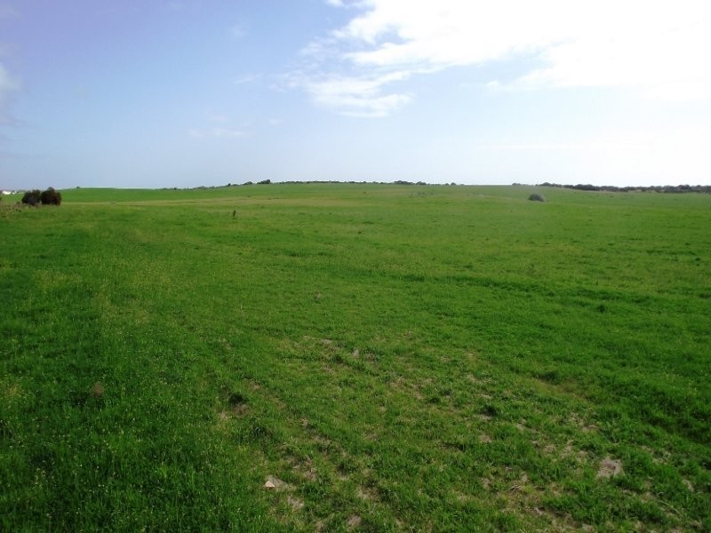 Allot 101 Sceale Bay Rd, Streaky Bay SA 5680