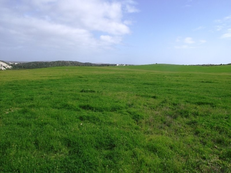 Allot 101 Sceale Bay Rd, Streaky Bay SA 5680