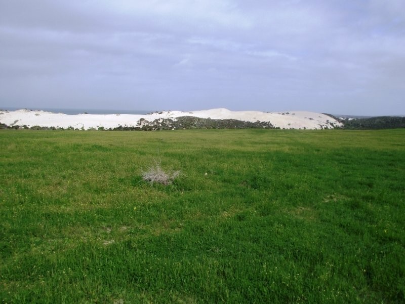 Allot 101 Sceale Bay Rd, Streaky Bay SA 5680