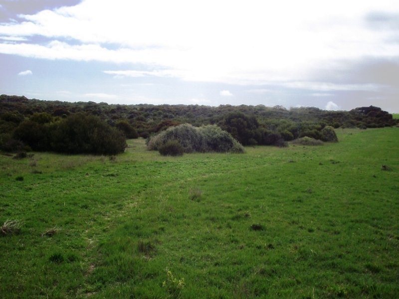 Allot 101 Sceale Bay Rd, Streaky Bay SA 5680