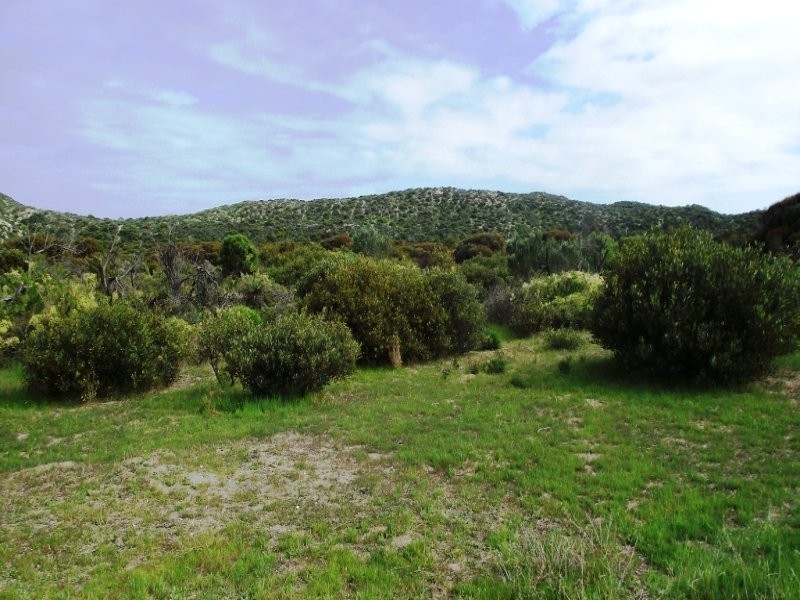 Allot 101 Sceale Bay Rd, Streaky Bay SA 5680