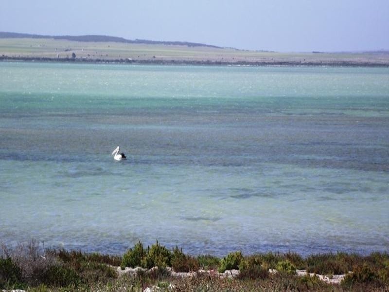Lot 303 Point Labatt Road, Streaky Bay SA 5680