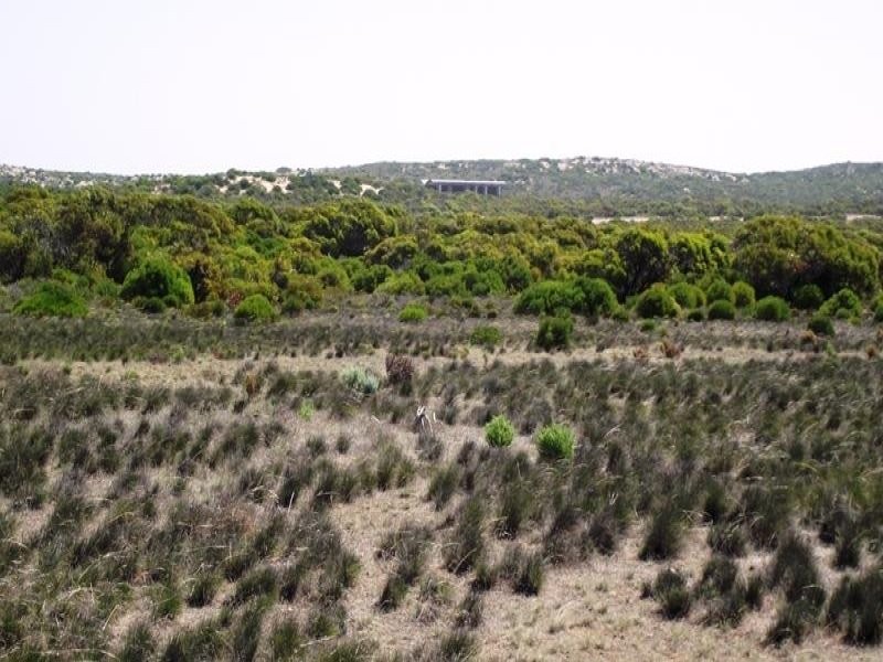 Lot 303 Point Labatt Road, Streaky Bay SA 5680