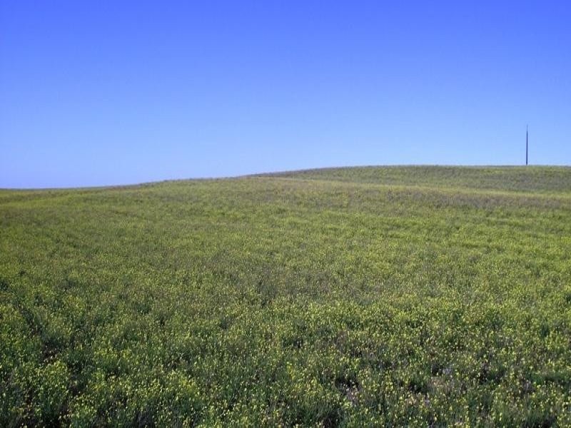 6-9 – Cape Bauer Drive, Streaky Bay SA 5680