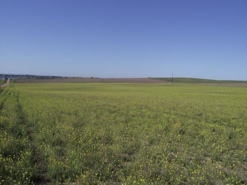 6-9 – Cape Bauer Drive, Streaky Bay SA 5680