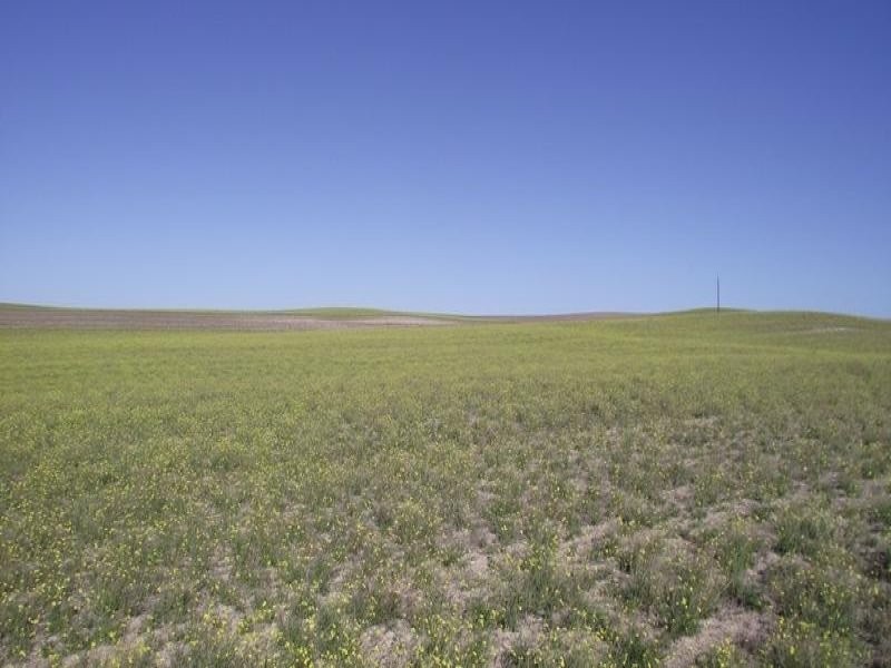 6-9 – Cape Bauer Drive, Streaky Bay SA 5680