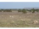Lot 2 Pygery-Pt Kenny Road, Port Kenny SA 5671