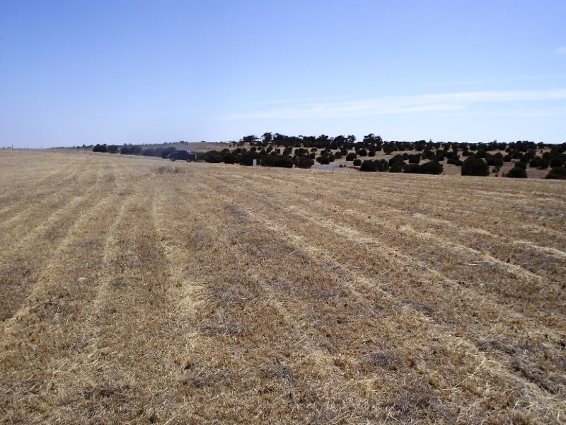 126 Lucy Way, Perlubie SA 5680