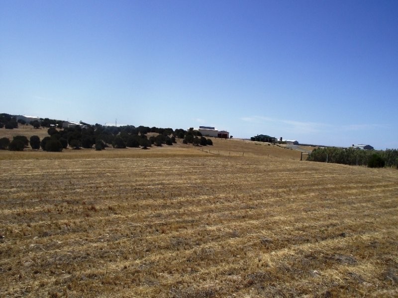 126 Lucy Way, Perlubie SA 5680