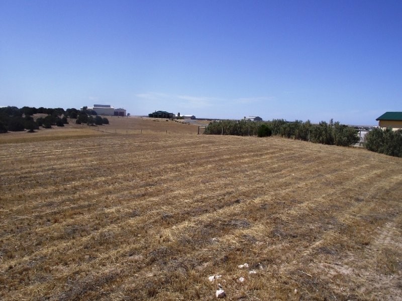 126 Lucy Way, Perlubie SA 5680