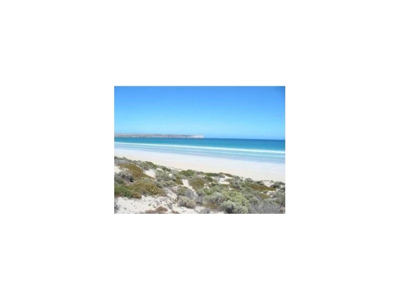 . South Terrace, Sceale Bay SA 5680
