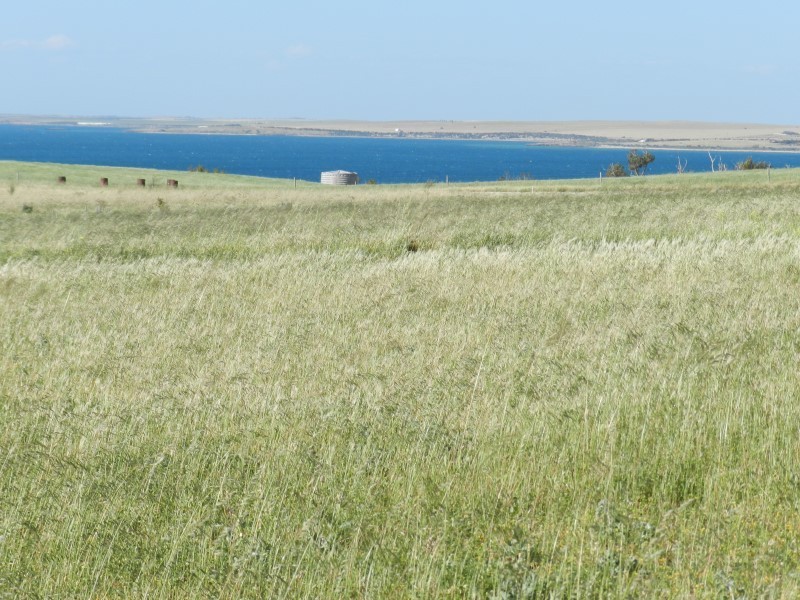 19 Kennedy Road, Streaky Bay SA 5680