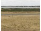 24 Oscar Williams Drive, Streaky Bay SA 5680