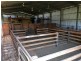 2853 Cape Bauer Road, Streaky Bay SA 5680