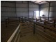 2853 Cape Bauer Road, Streaky Bay SA 5680