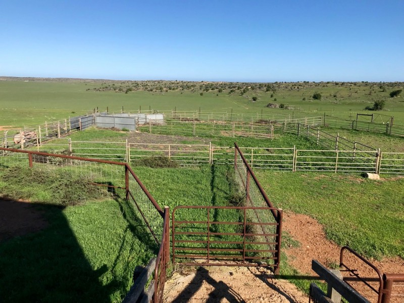 2853 Cape Bauer Road, Streaky Bay SA 5680