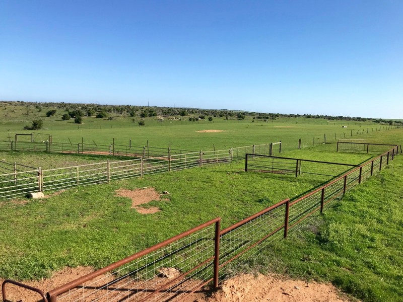 2853 Cape Bauer Road, Streaky Bay SA 5680