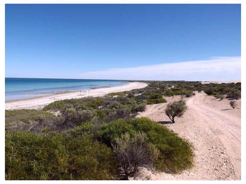 Allot 4 Flinders Hwy, Streaky Bay SA 5680