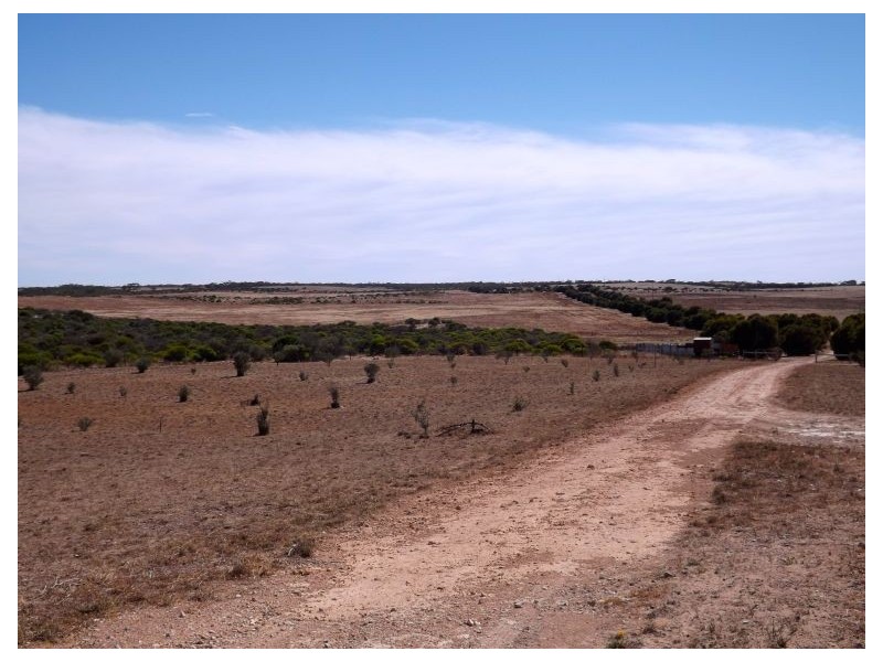 Allot 4 Flinders Hwy, Streaky Bay SA 5680