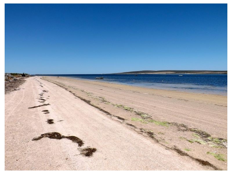 27 Baird Bay Rd, Baird Bay, Streaky Bay SA 5680