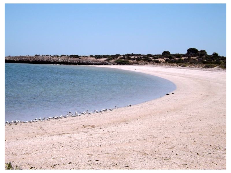 21 Flinders Drive, Streaky Bay SA 5680