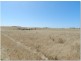 Section 20 Pipeline Road, Streaky Bay SA 5680