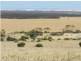 Section 20 Pipeline Road, Streaky Bay SA 5680