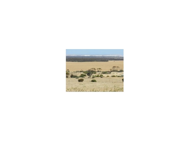 Section 20 Pipeline Road, Streaky Bay SA 5680